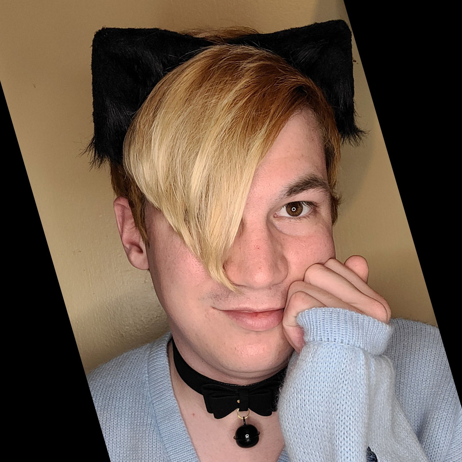 Kawaii Kittykins's avatar