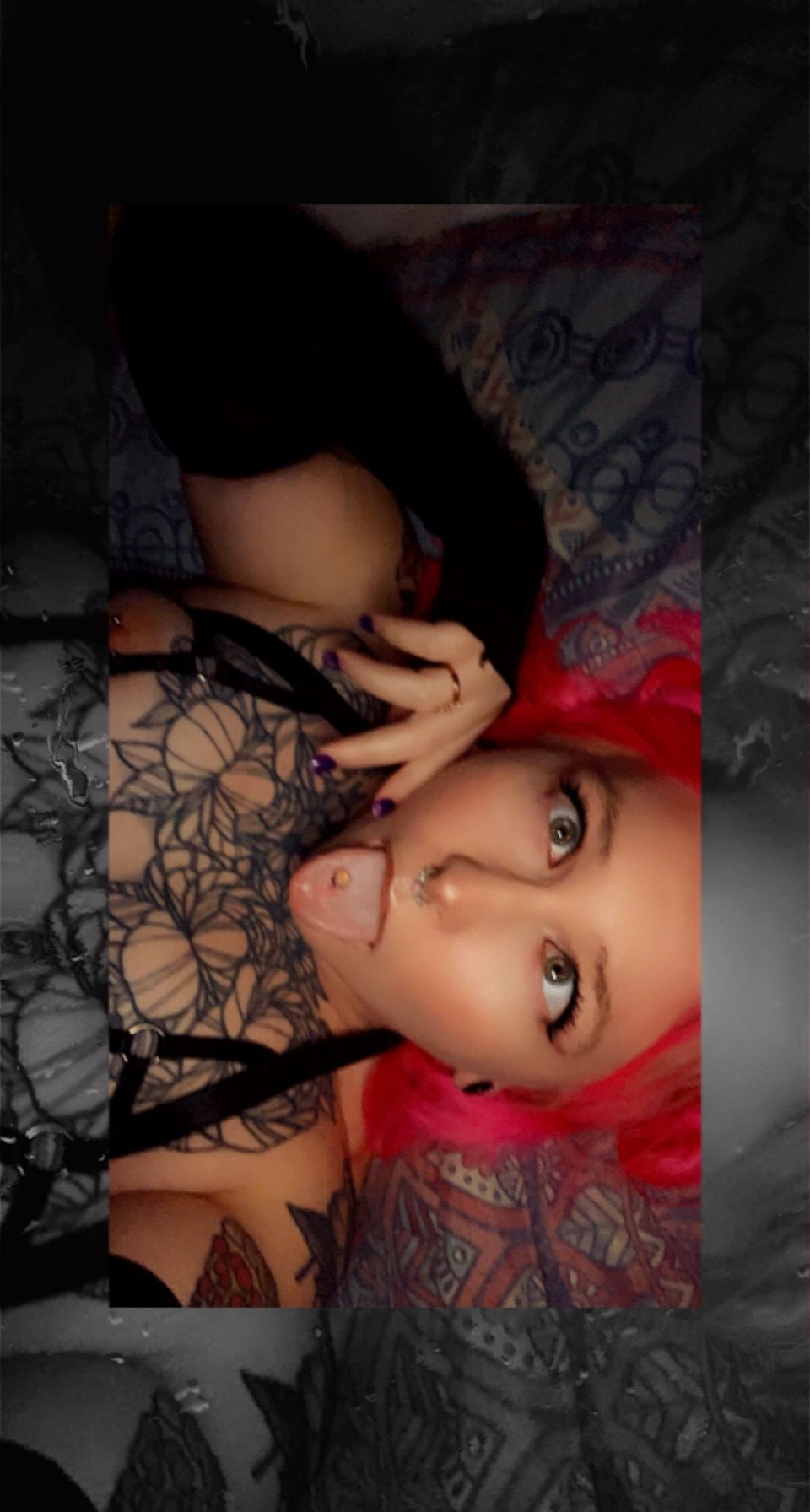 Kaycee Rose 🌹's avatar