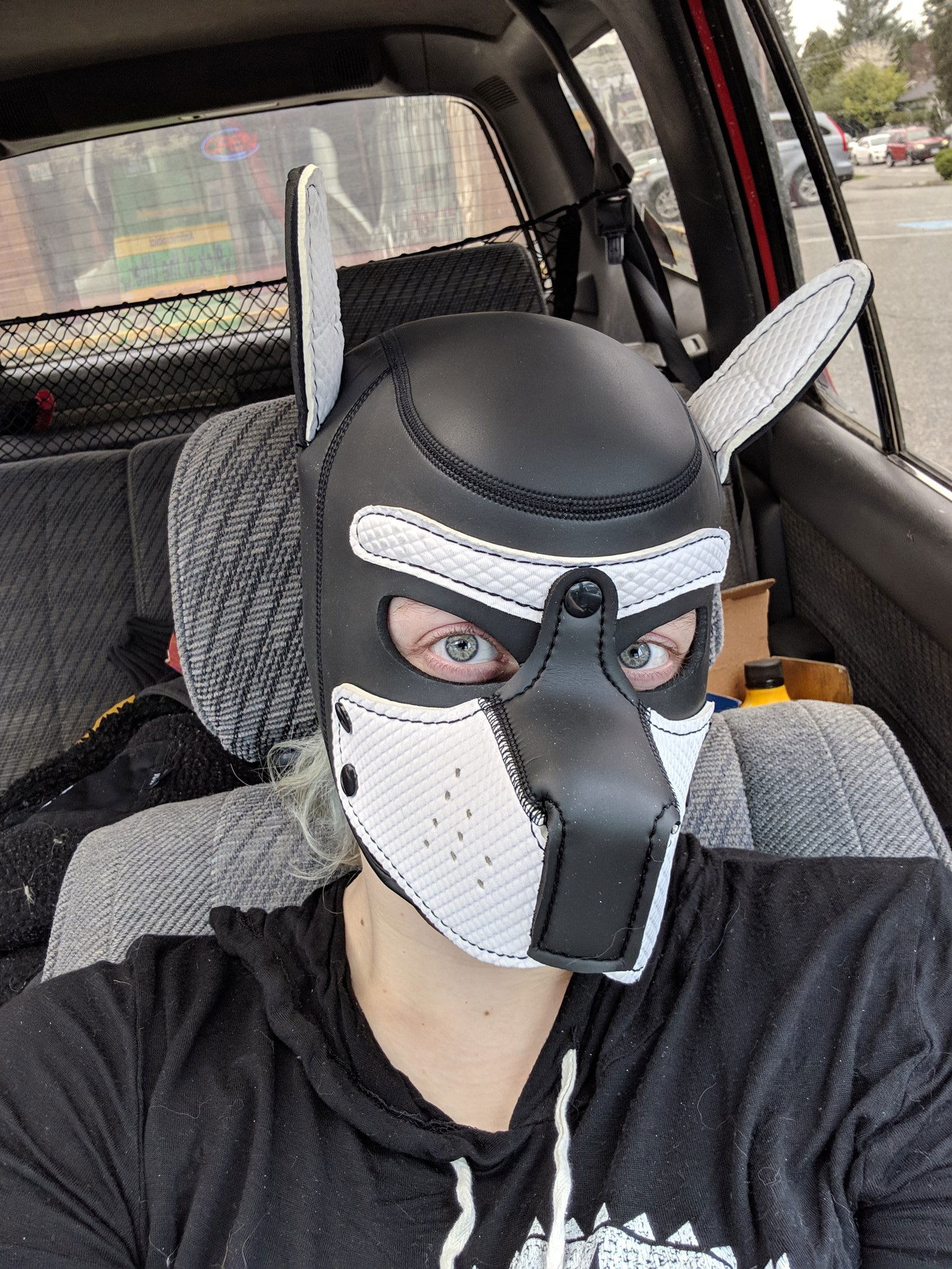 KikoHusky's avatar