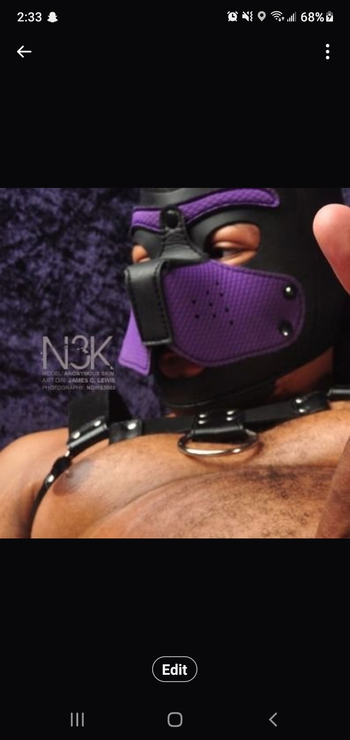King B8R's avatar