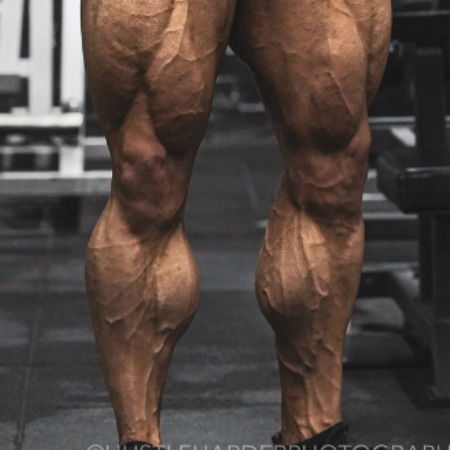King Calves™'s avatar