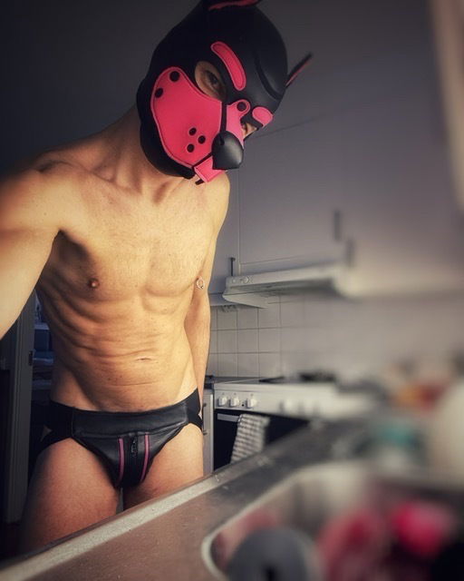 North, the Kinkster's avatar