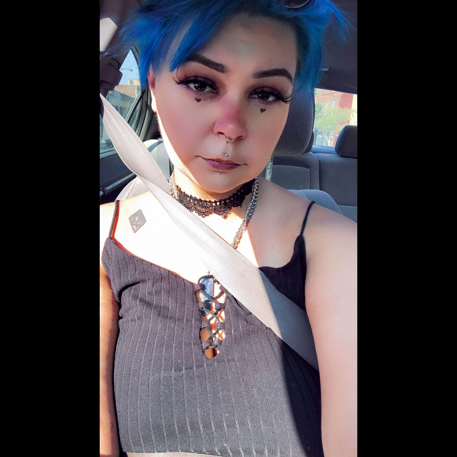 Kitten