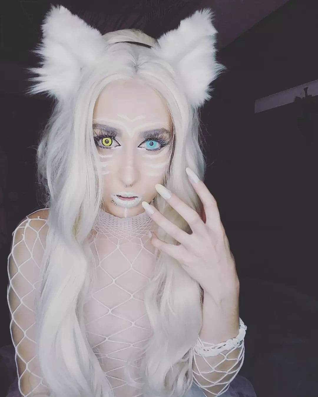 Kitten's avatar