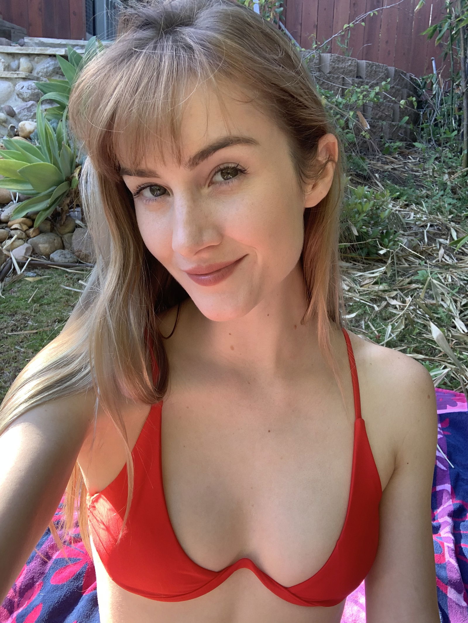 KittenwithFangs's avatar