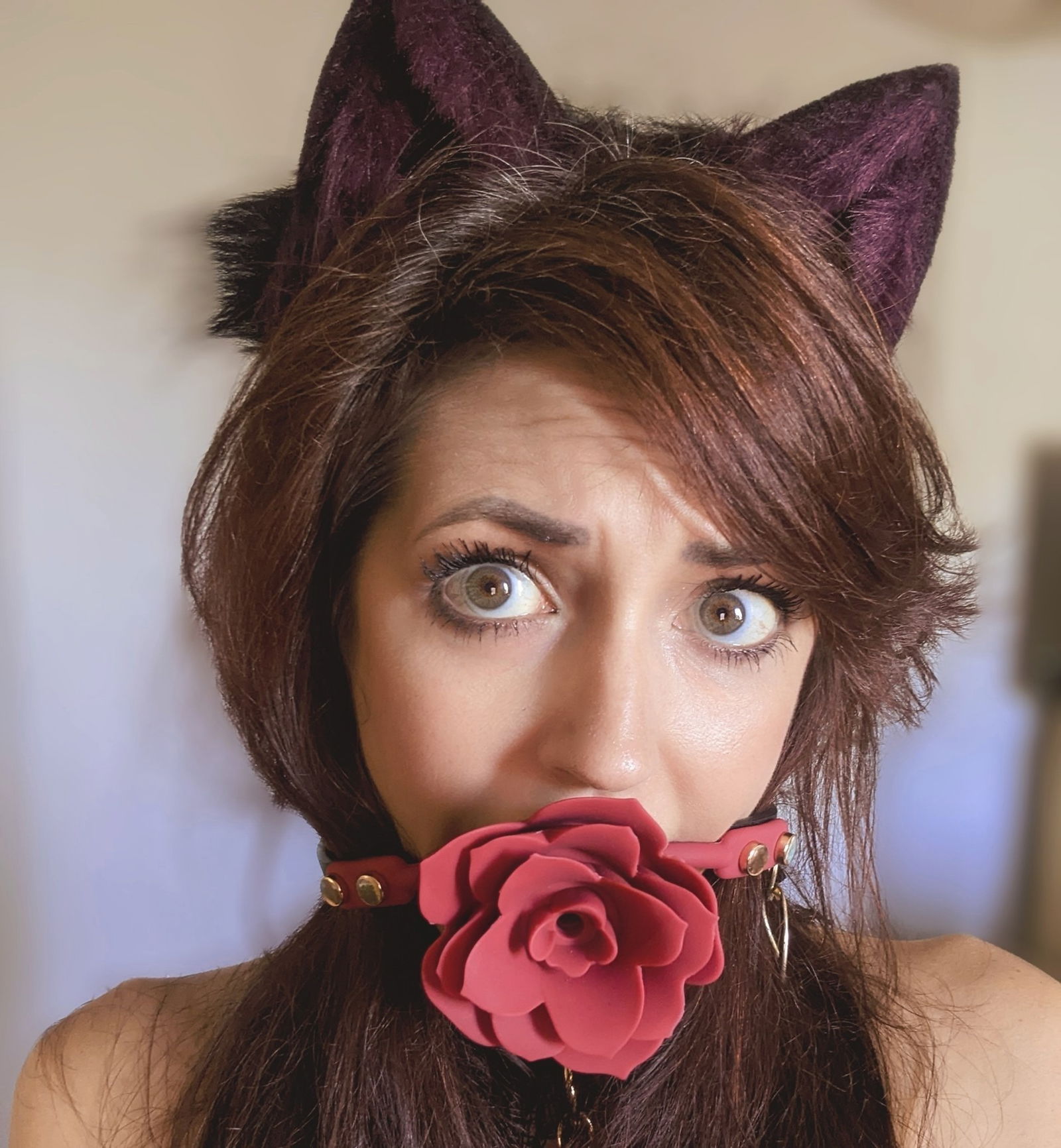 😻 𝕾𝖒𝖎𝖙𝖙𝖊𝖓 𝕶𝖎𝖙𝖙𝖊𝖓 😻