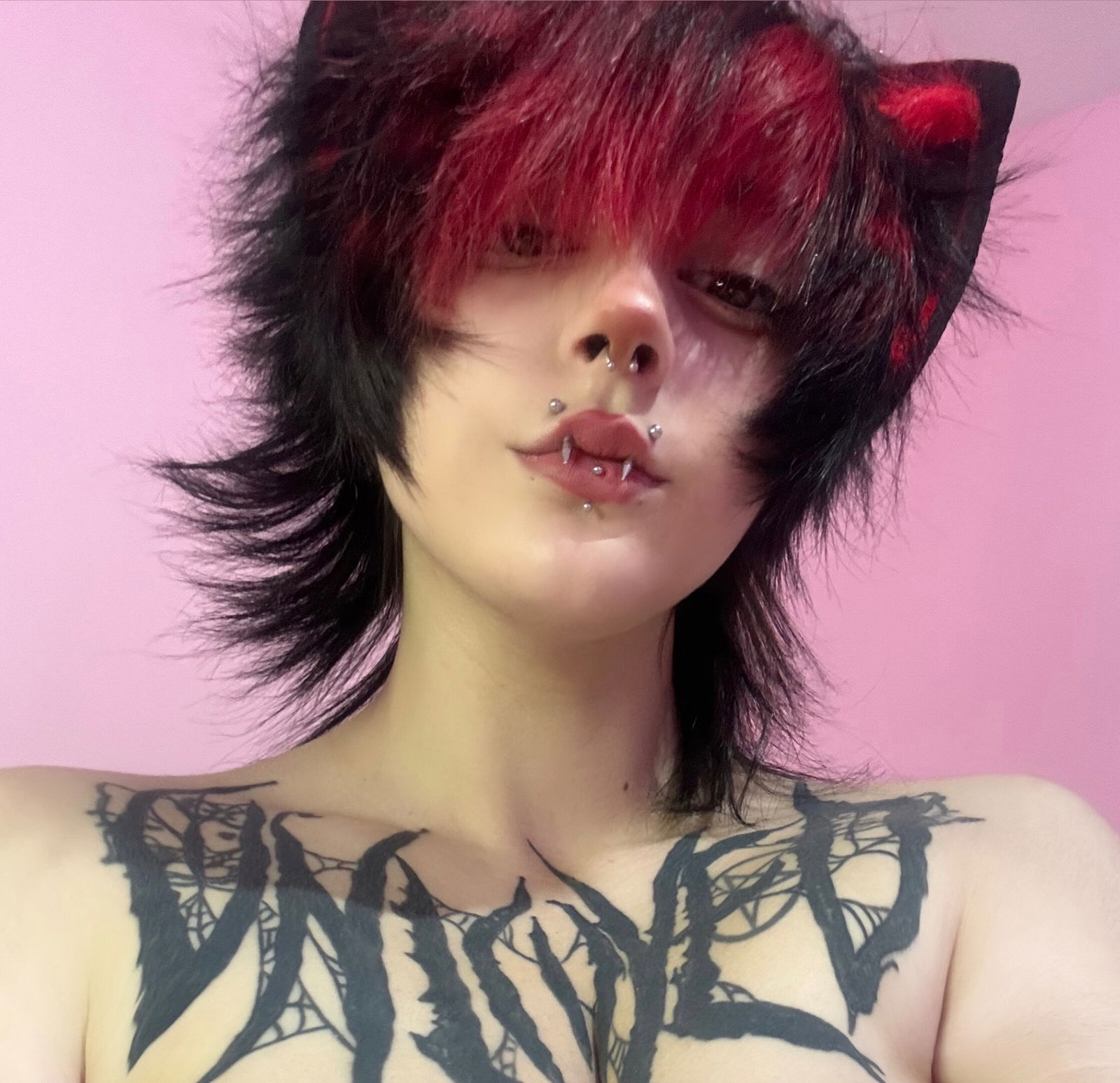 ｡*♡Kitty✧*。's avatar