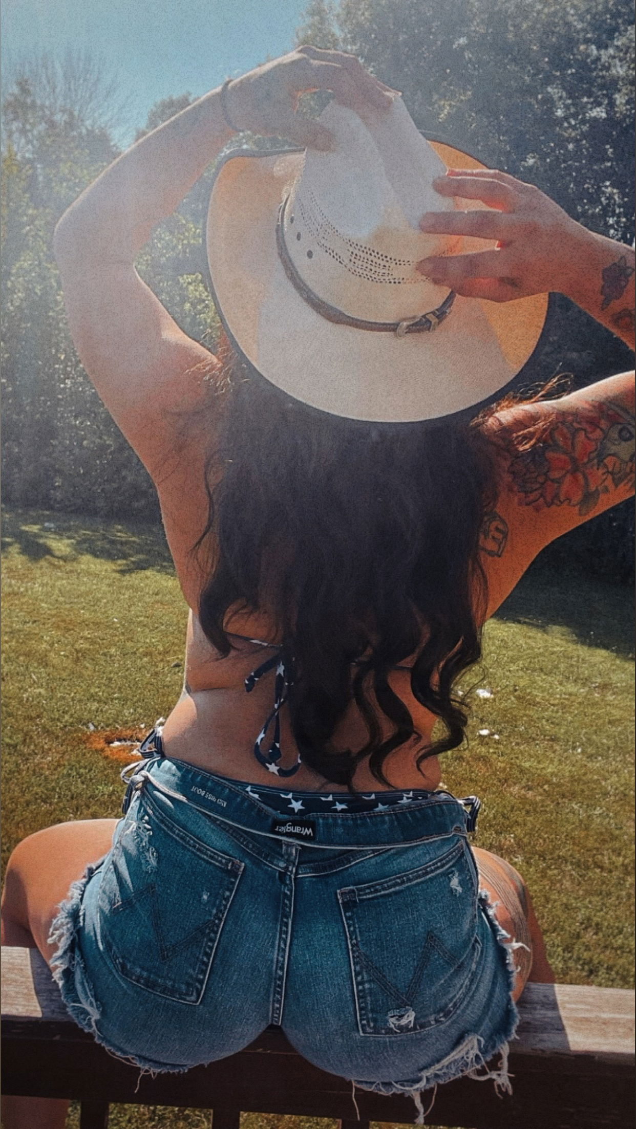 Krisacole