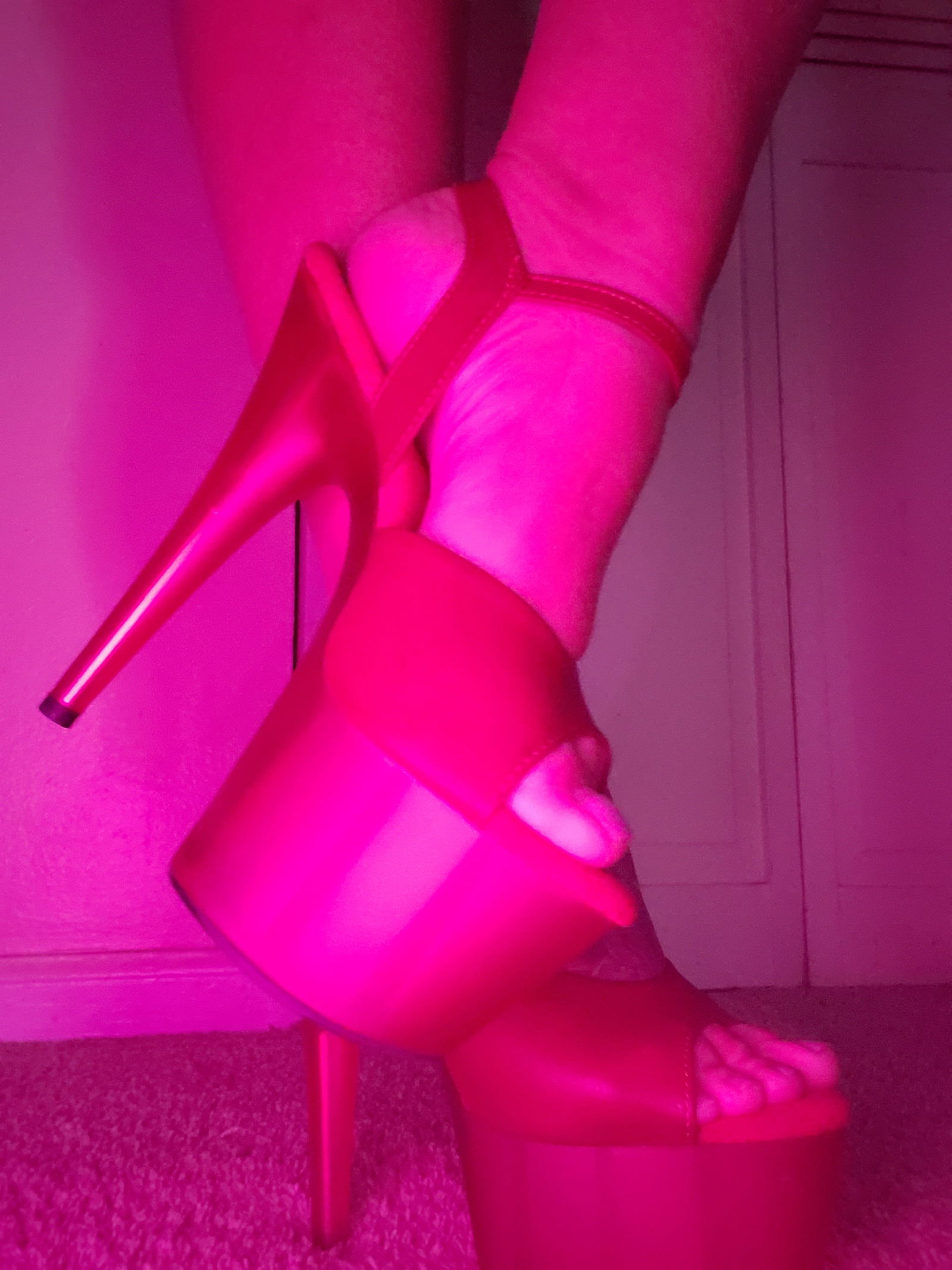 Lacey Vaughn's avatar