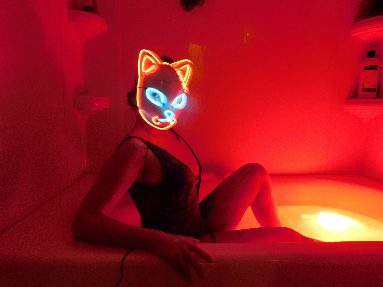 Lady_Fox's avatar