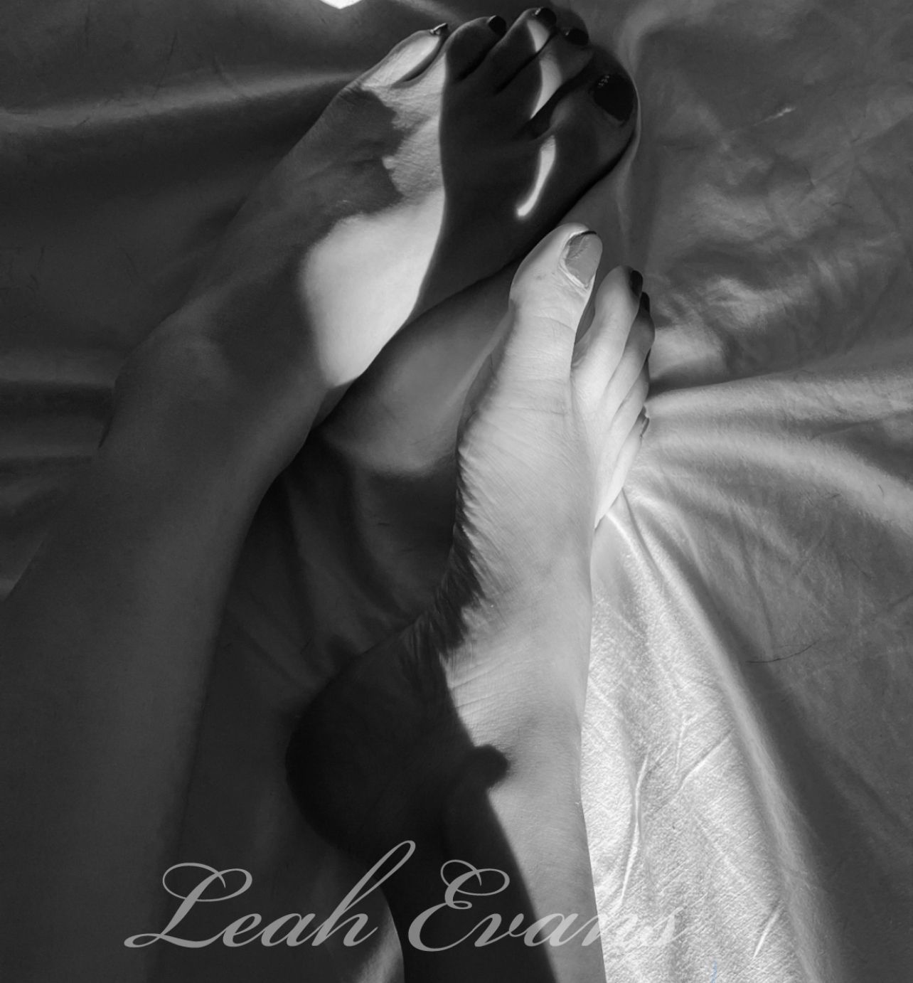 Leah Evans's avatar