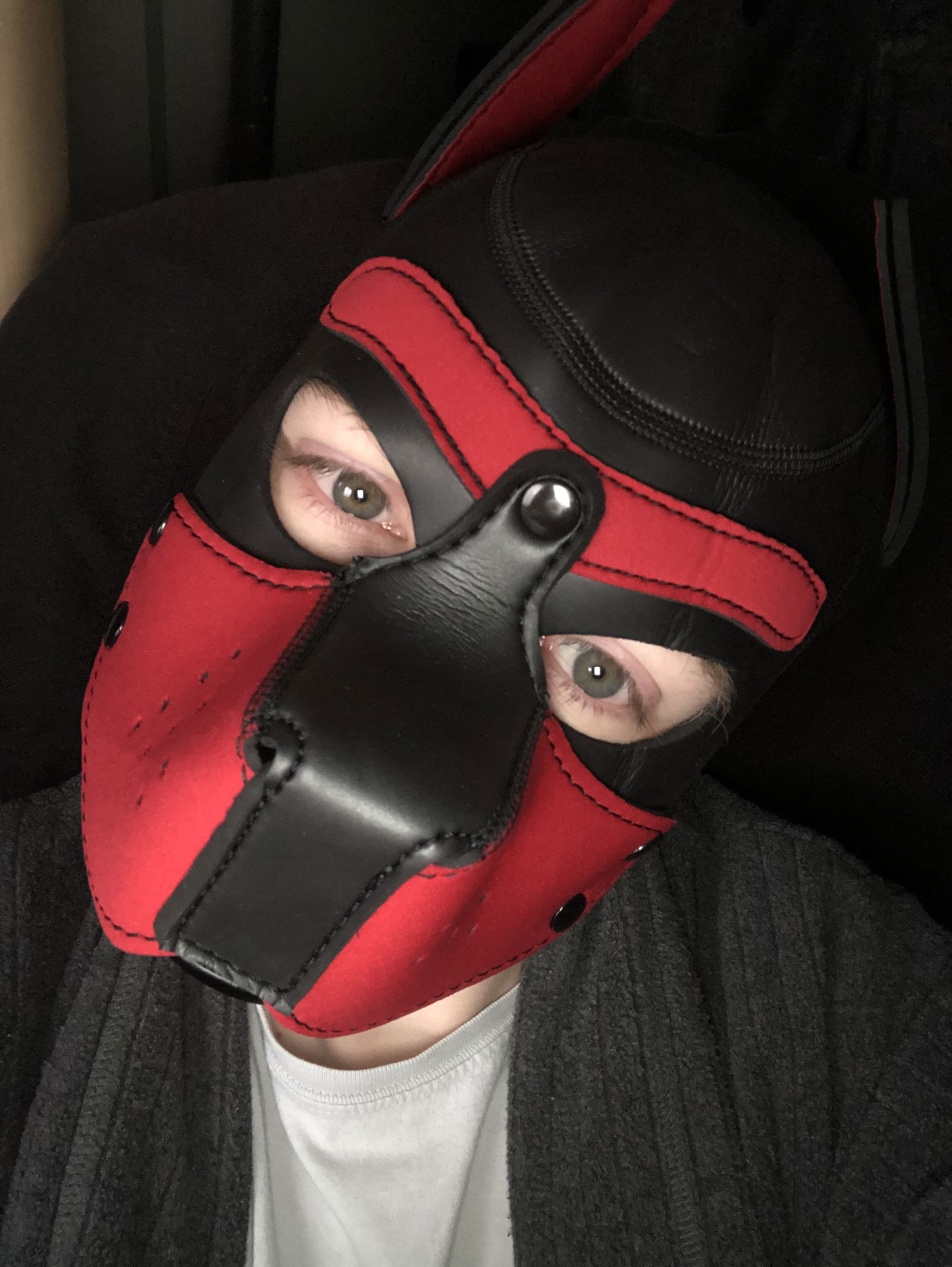 Leather Pup Lurz's avatar