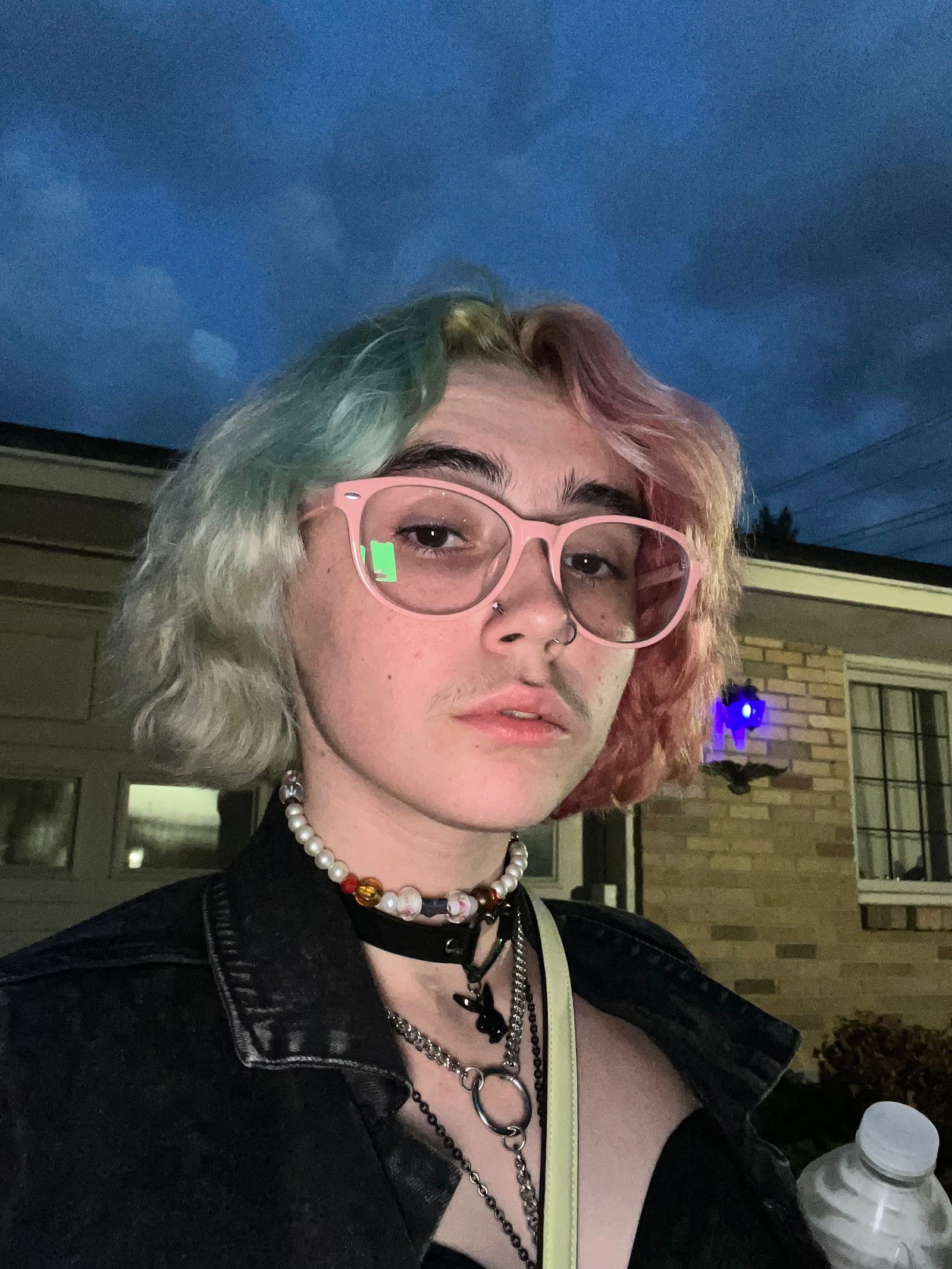 kitten✨😽's avatar