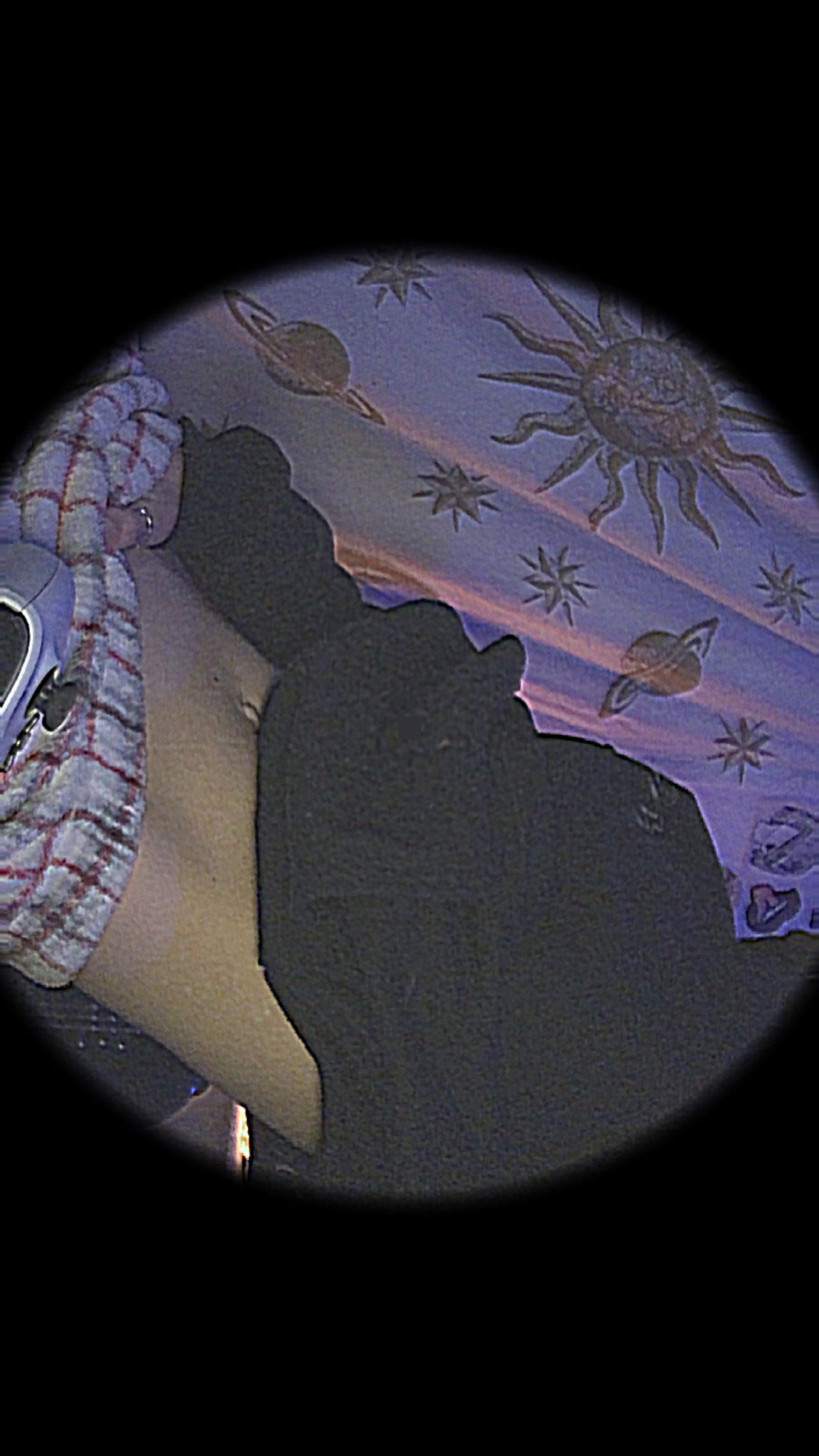 Queer queen's avatar