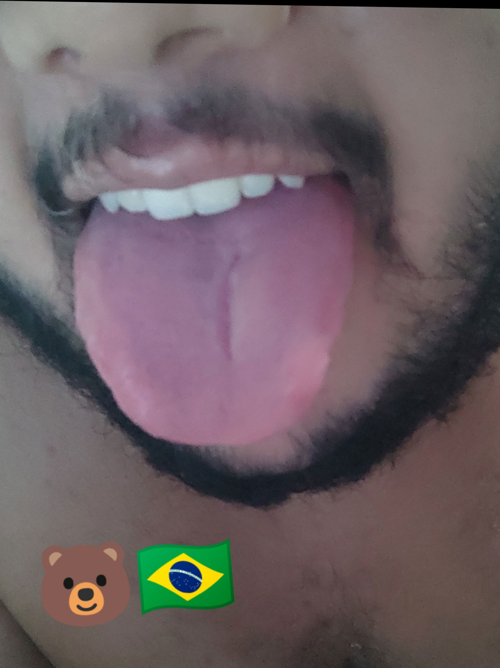 🇧🇷🐻 Brazilian Little Bear's avatar