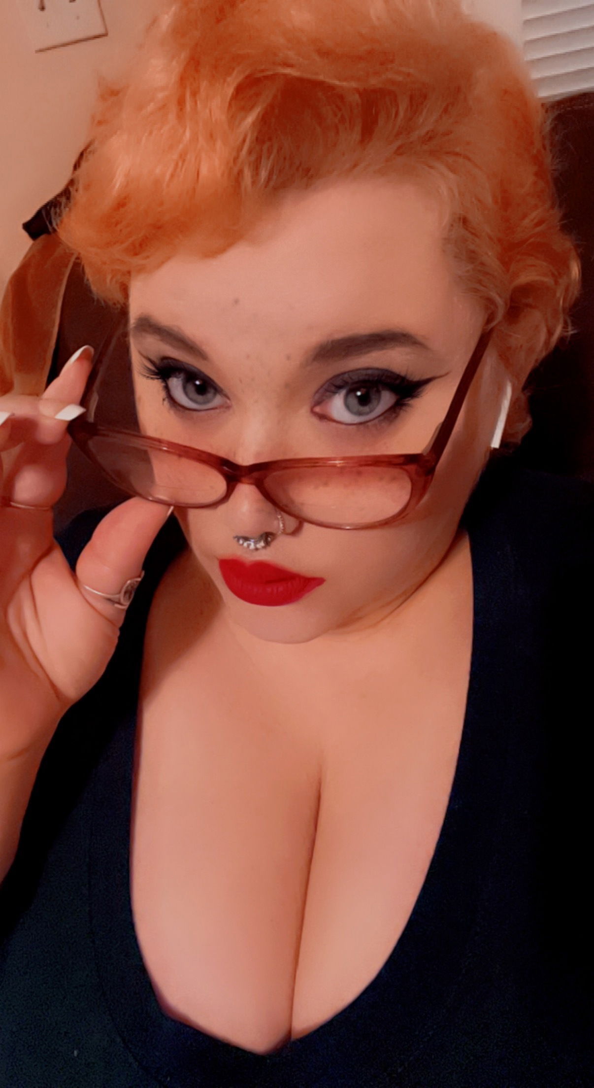 Lil Harley Fox's avatar
