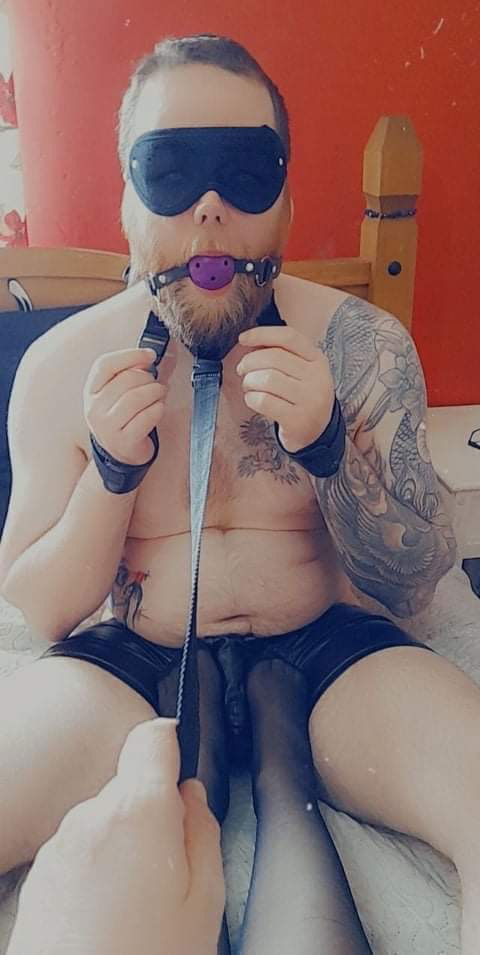 Liquorice creator profile