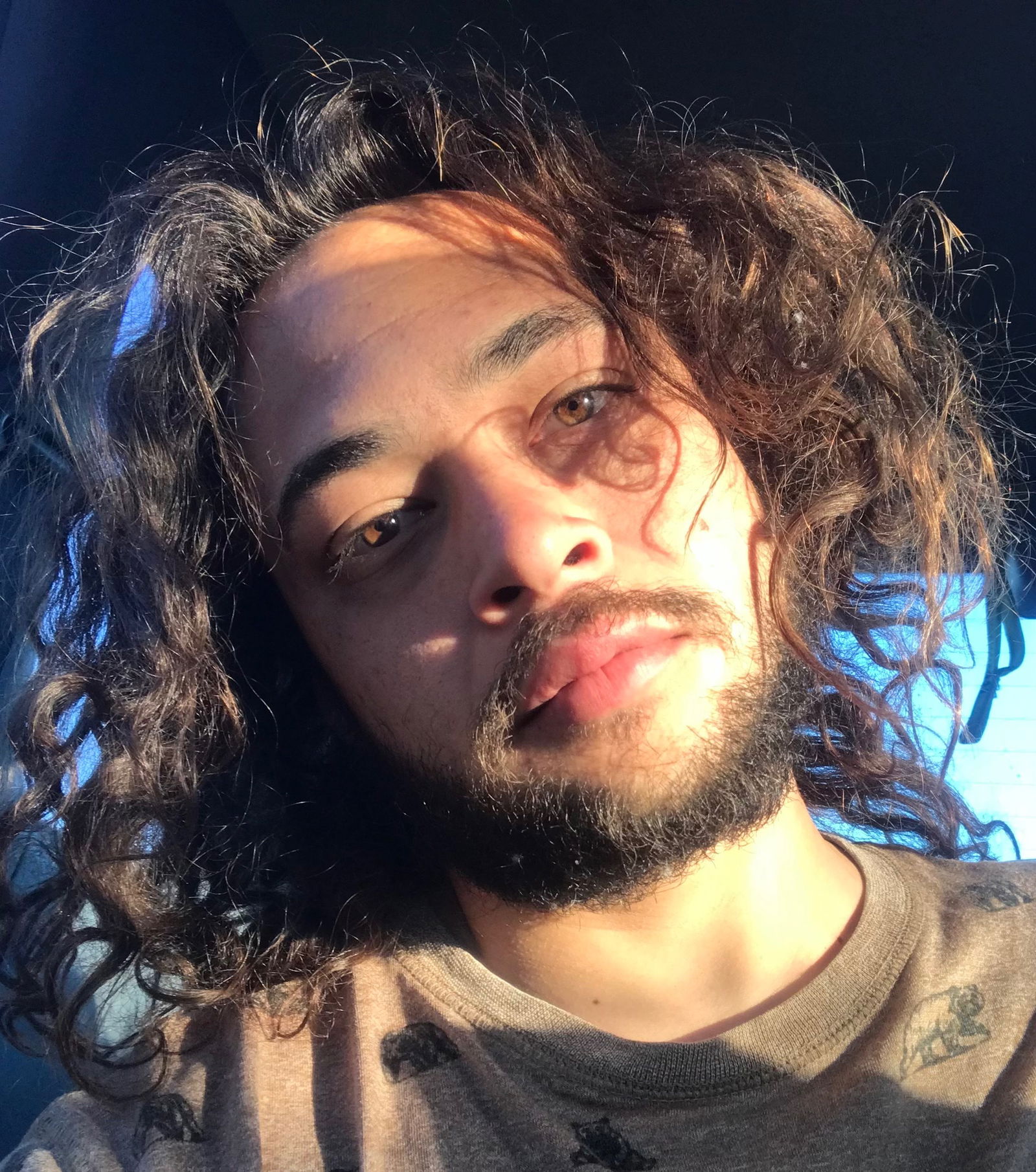 Local hunny's avatar