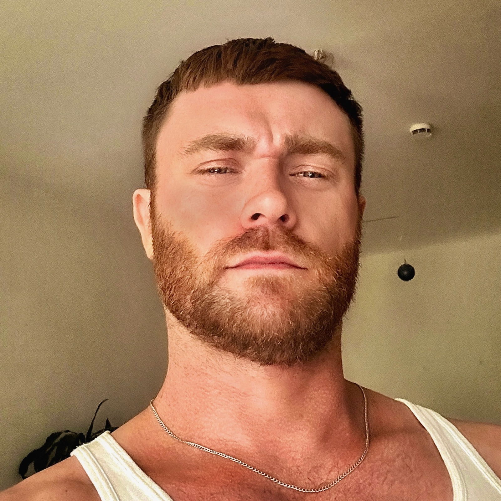 Logan Fox's avatar