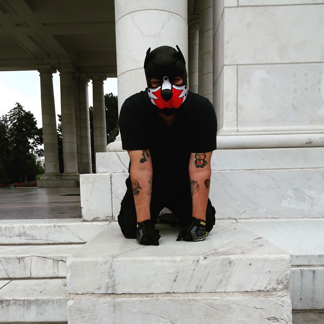 Pup Loki's avatar