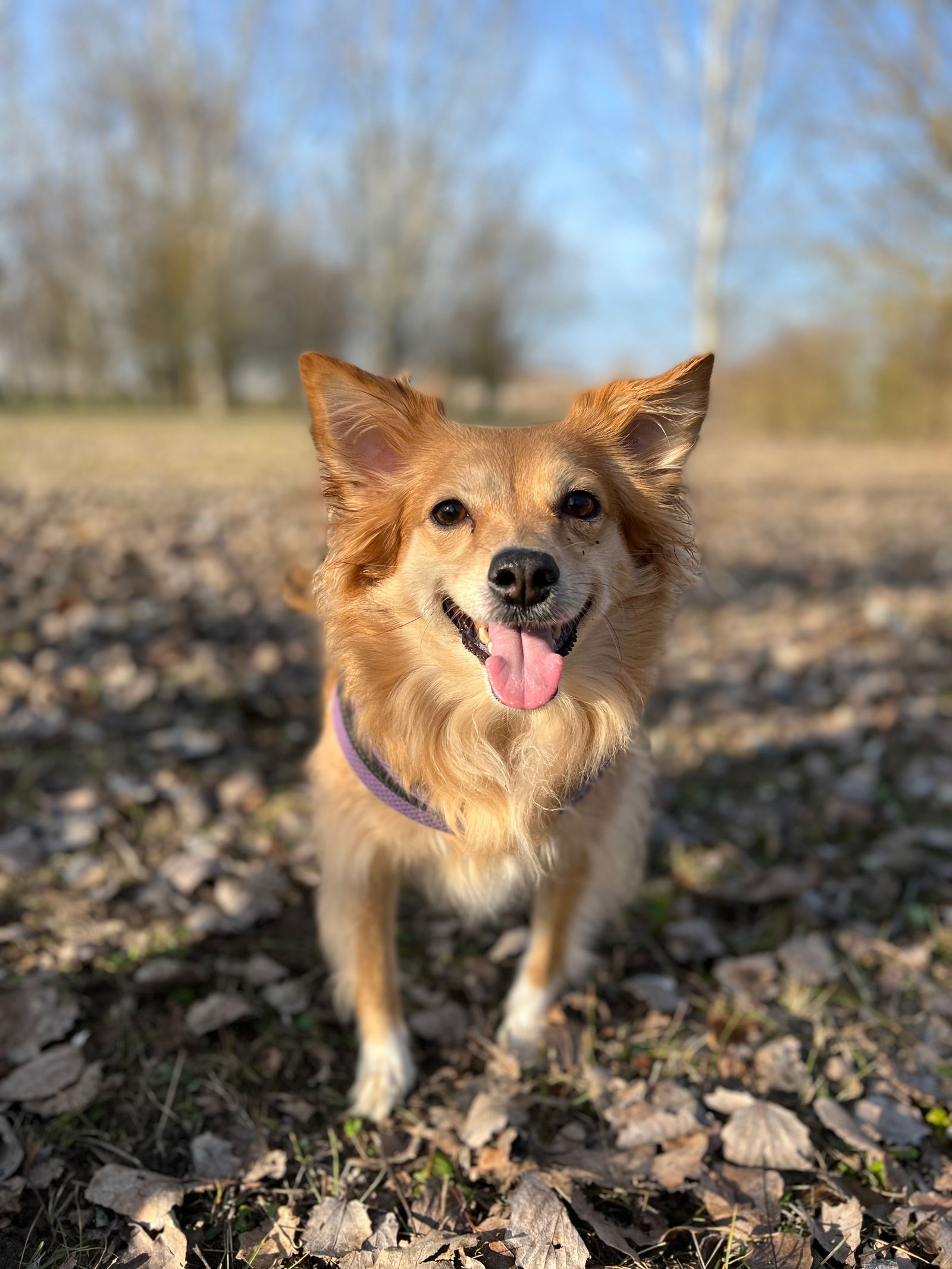 Lola Bonita's avatar