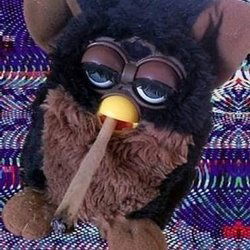 LP's avatar
