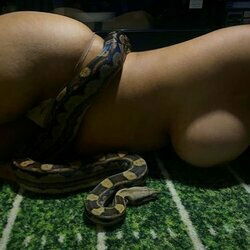 Lone Star Exotic Reptiles