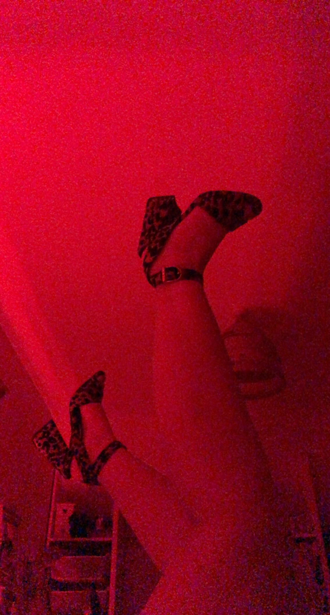 L's avatar