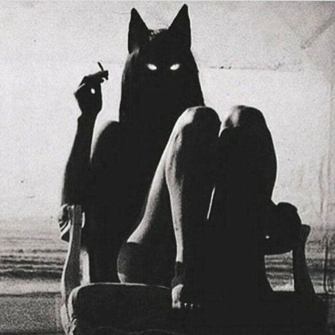 Lucidity's avatar