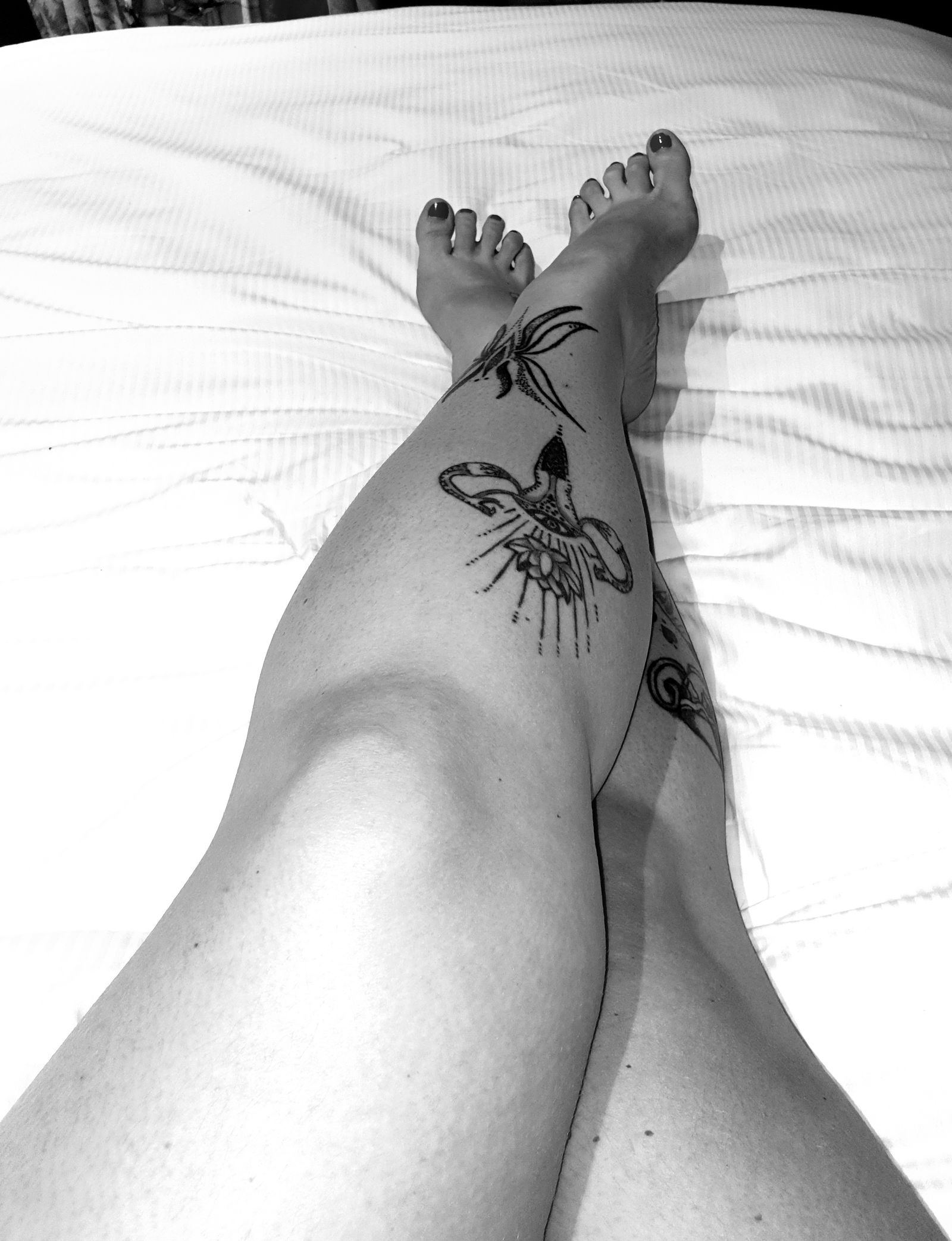 Luna Kay's avatar