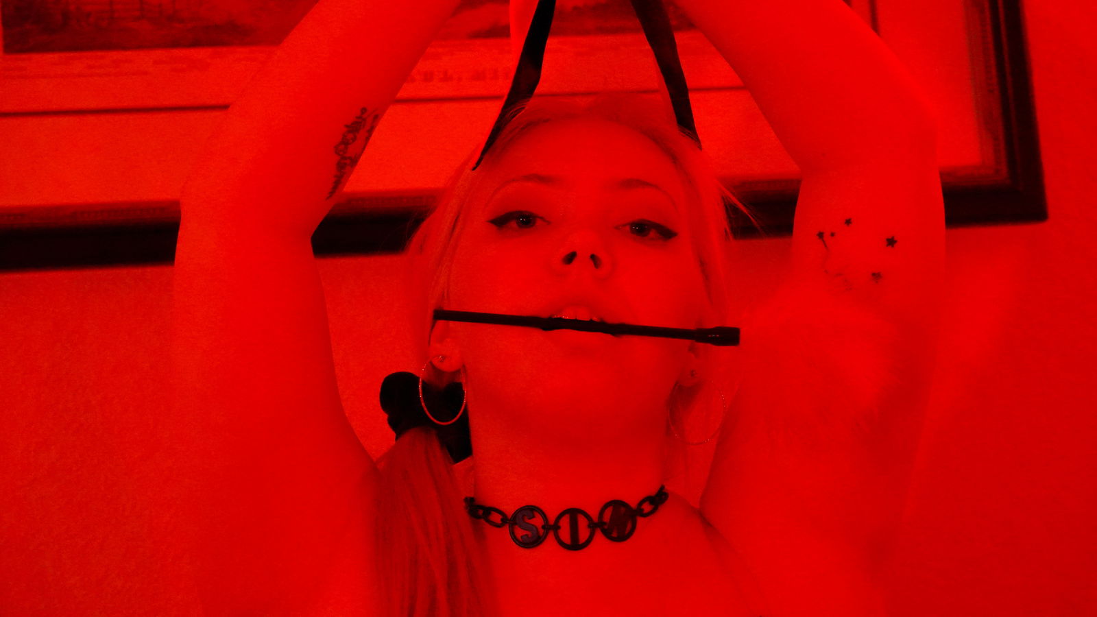 Luna Steele's avatar