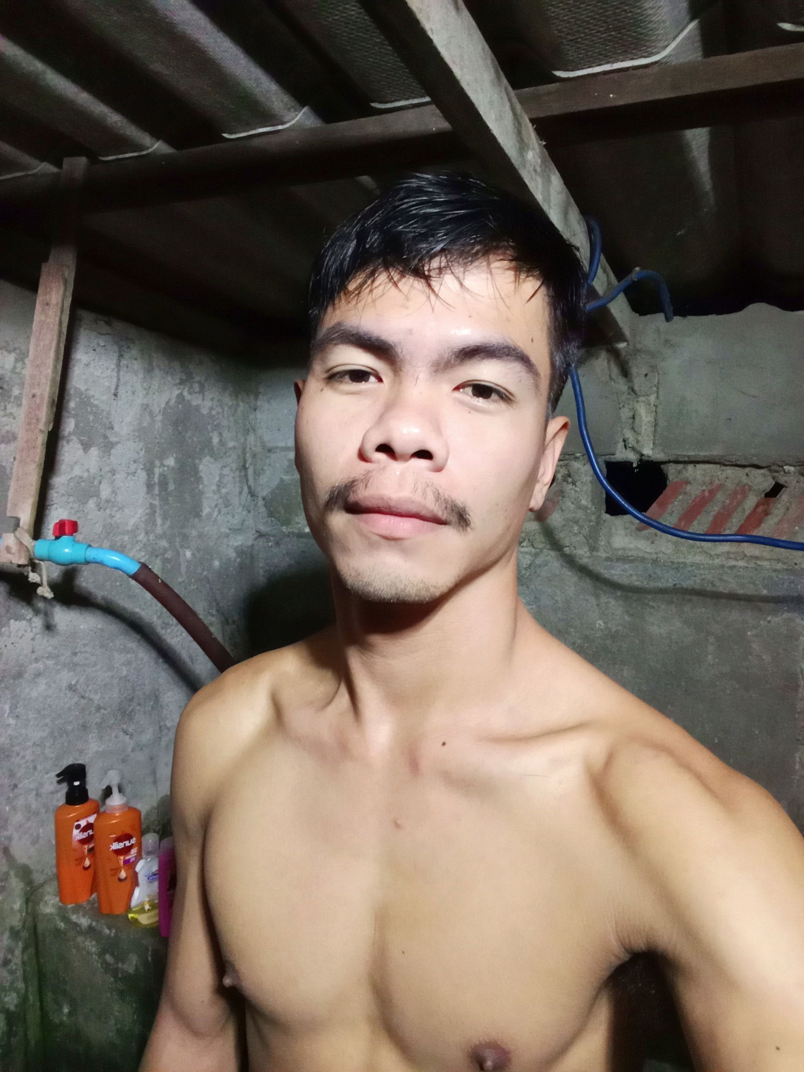 M.MAX's avatar