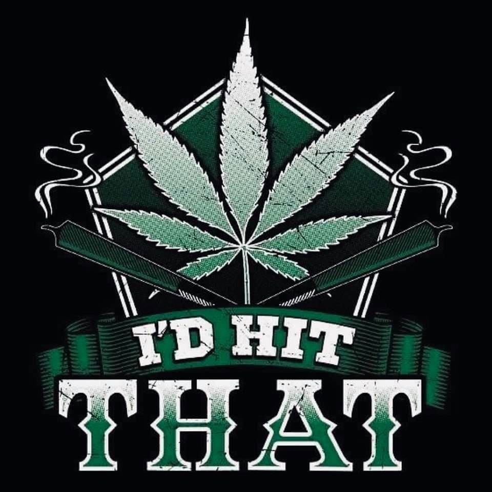 MAC420's avatar