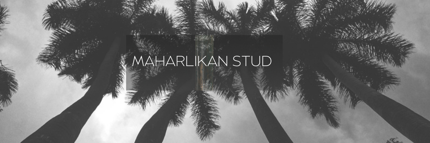 maharlikanstud's avatar