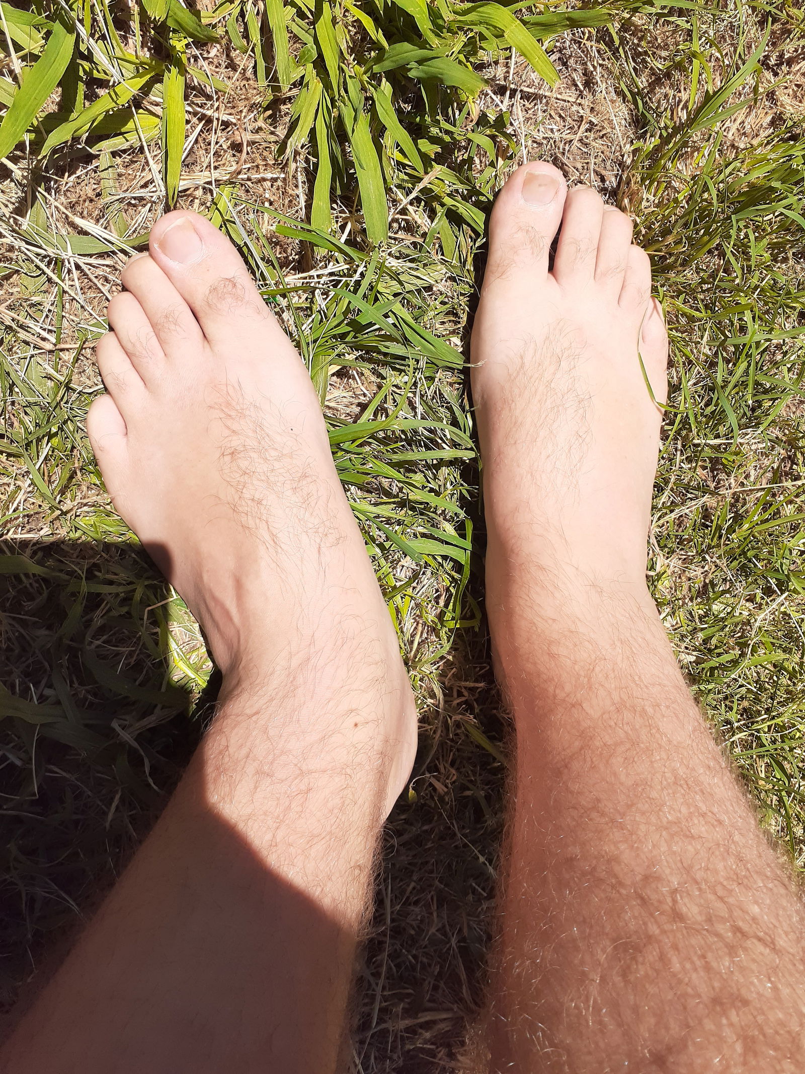 ManBears Feet's avatar
