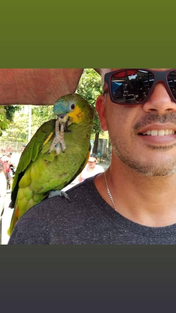 Marcello Rio de janeiro's avatar