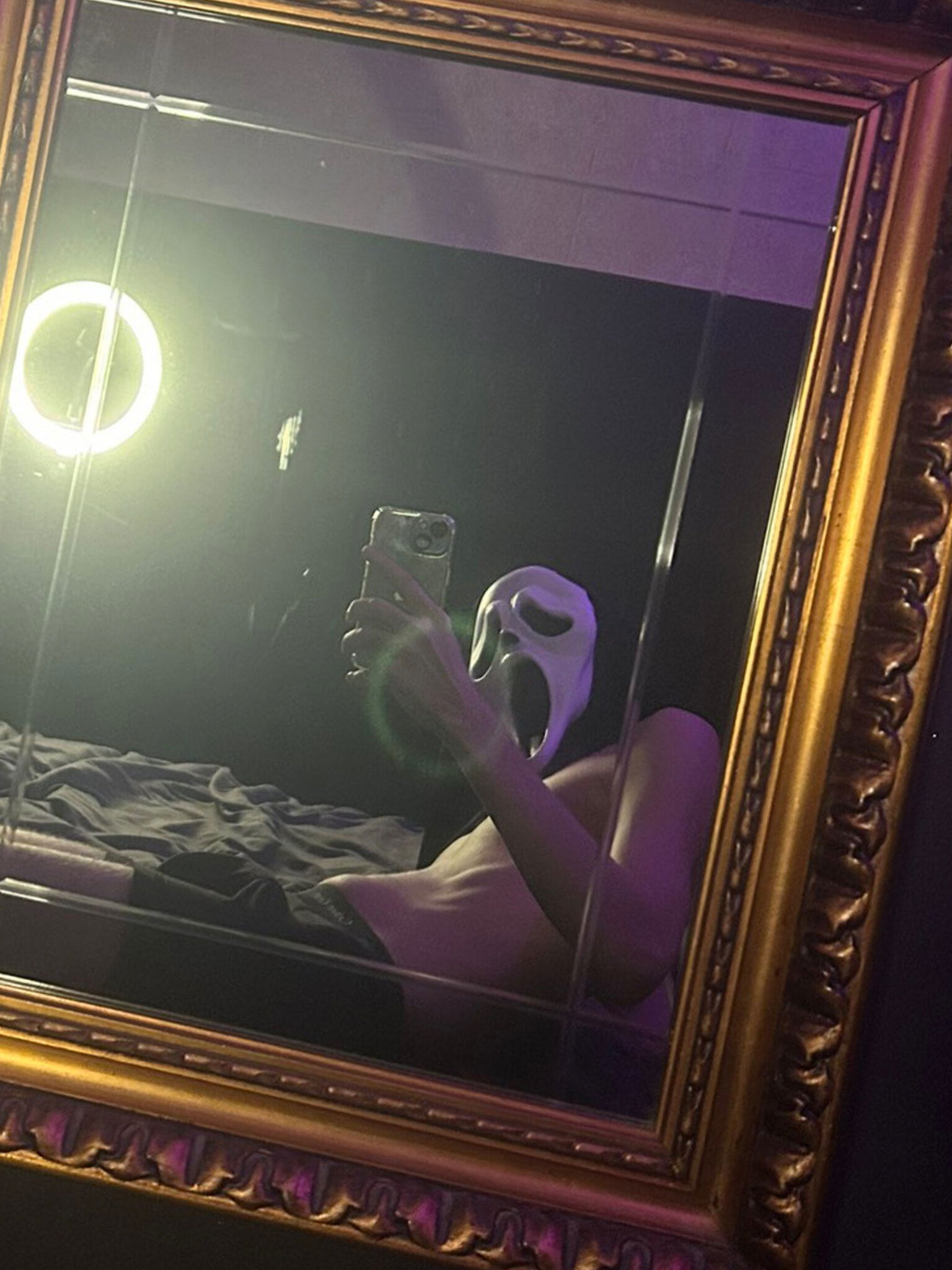 𝑷𝒉𝒂𝒏𝒕𝒐𝒎