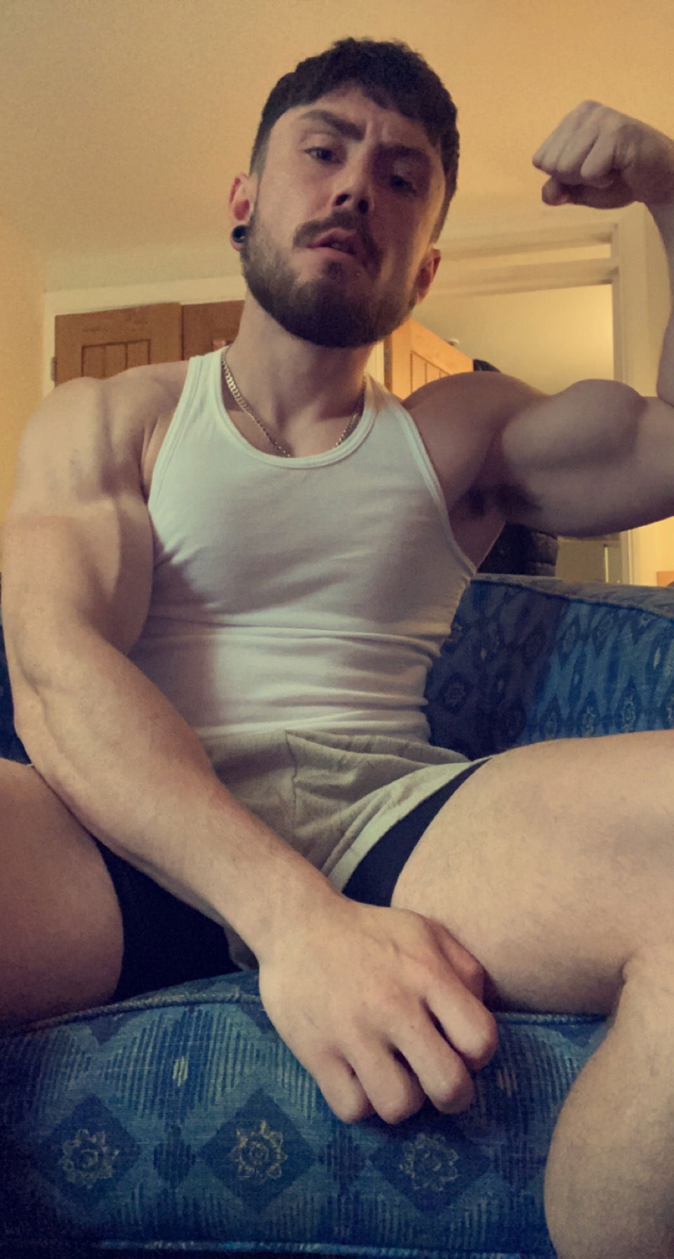 Matt brody's avatar