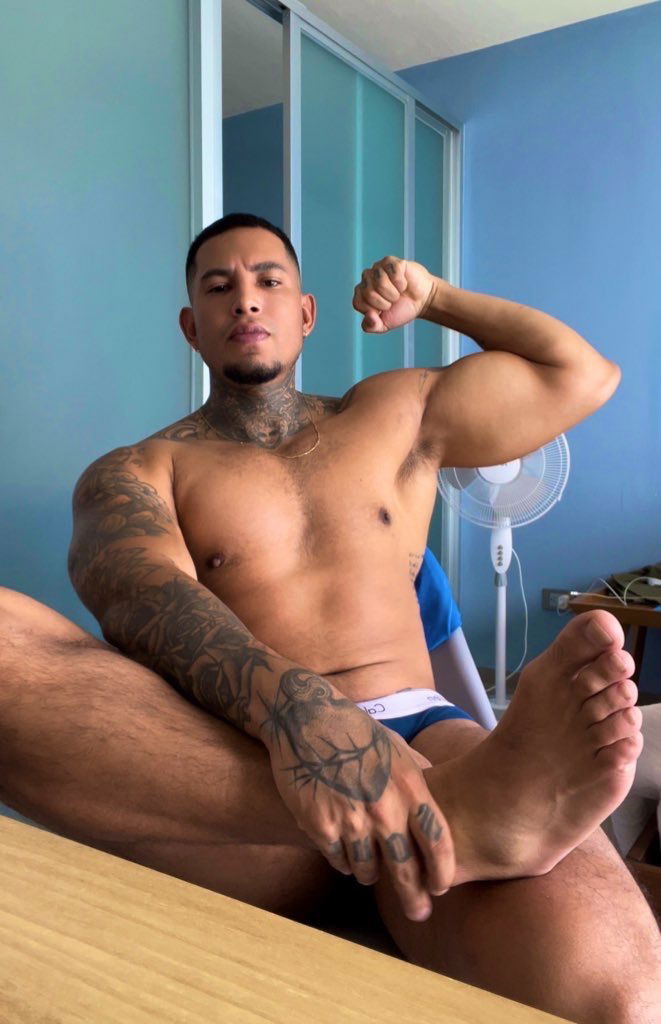 TU CHACAL FAVORITO ⚡️