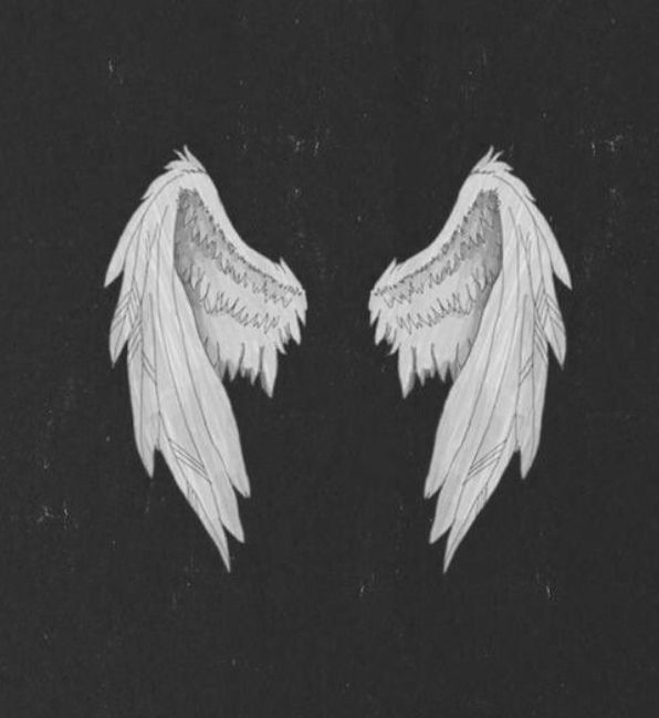 Dark Ángel's avatar