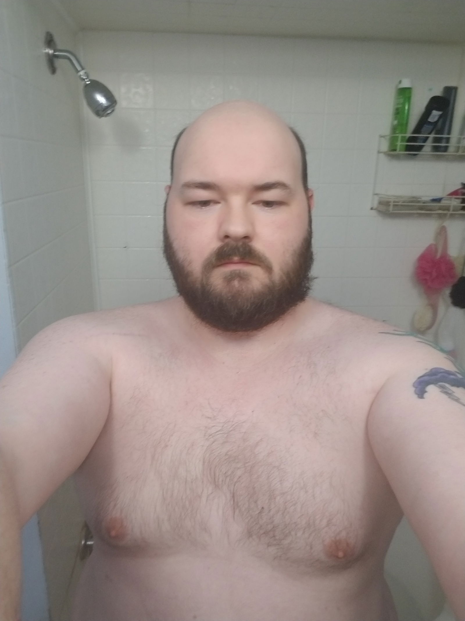 Metalgod427's avatar