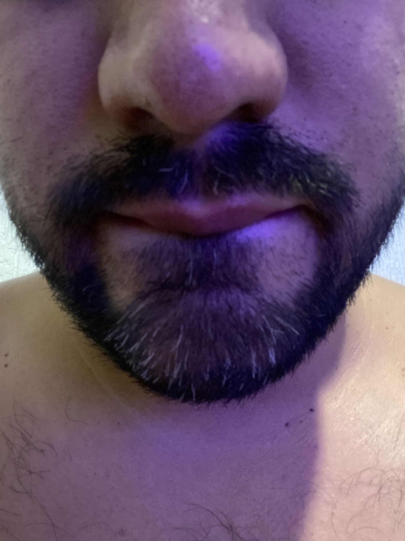 Mexican wolfie's avatar