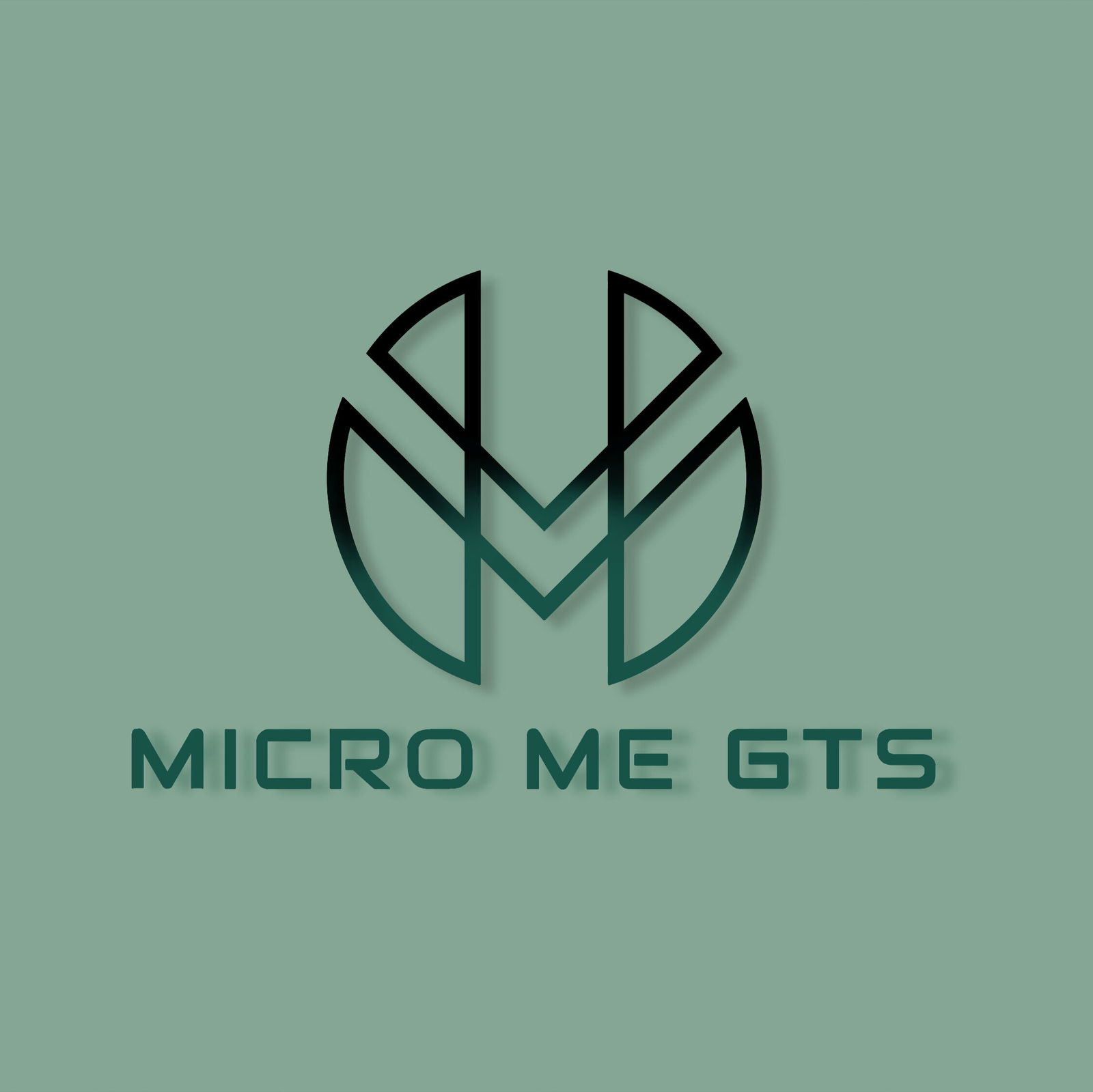 Micro Me GTS's avatar