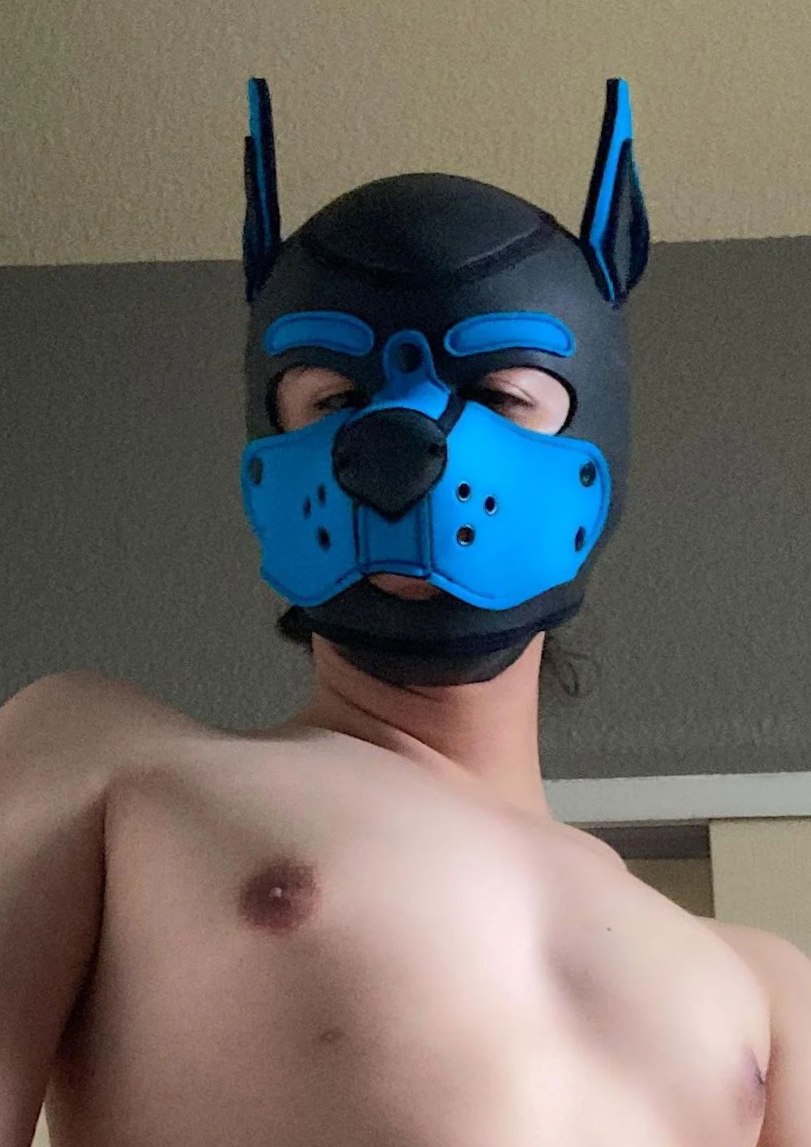 Mikkelxxxx's avatar