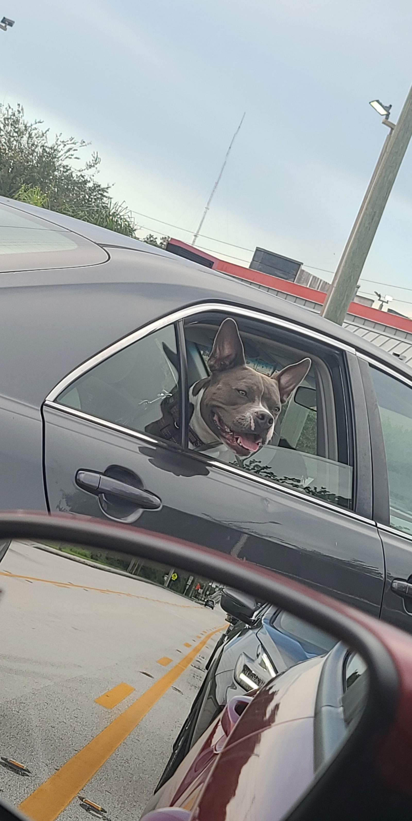 Jr