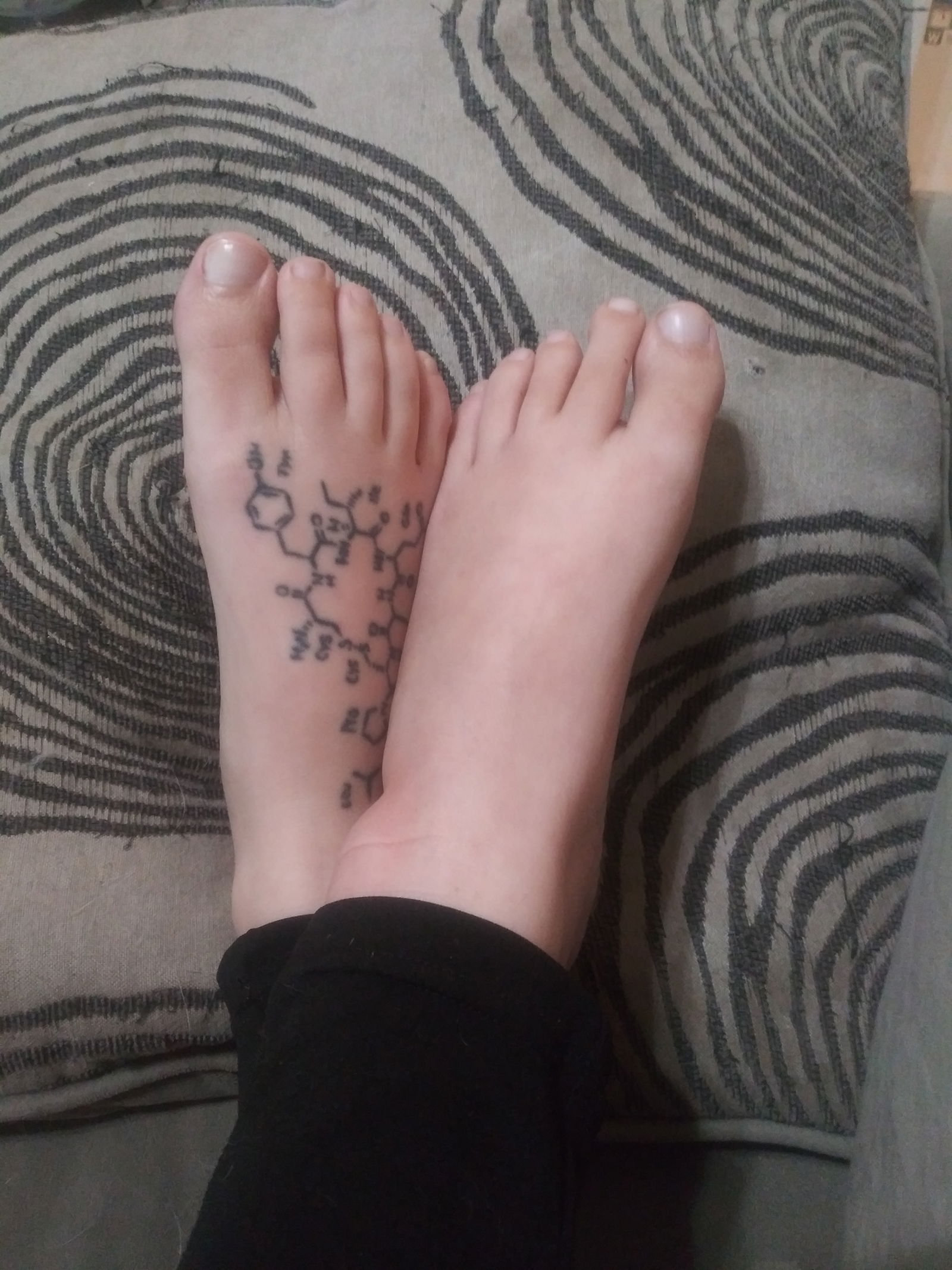 Misty's Feet's avatar
