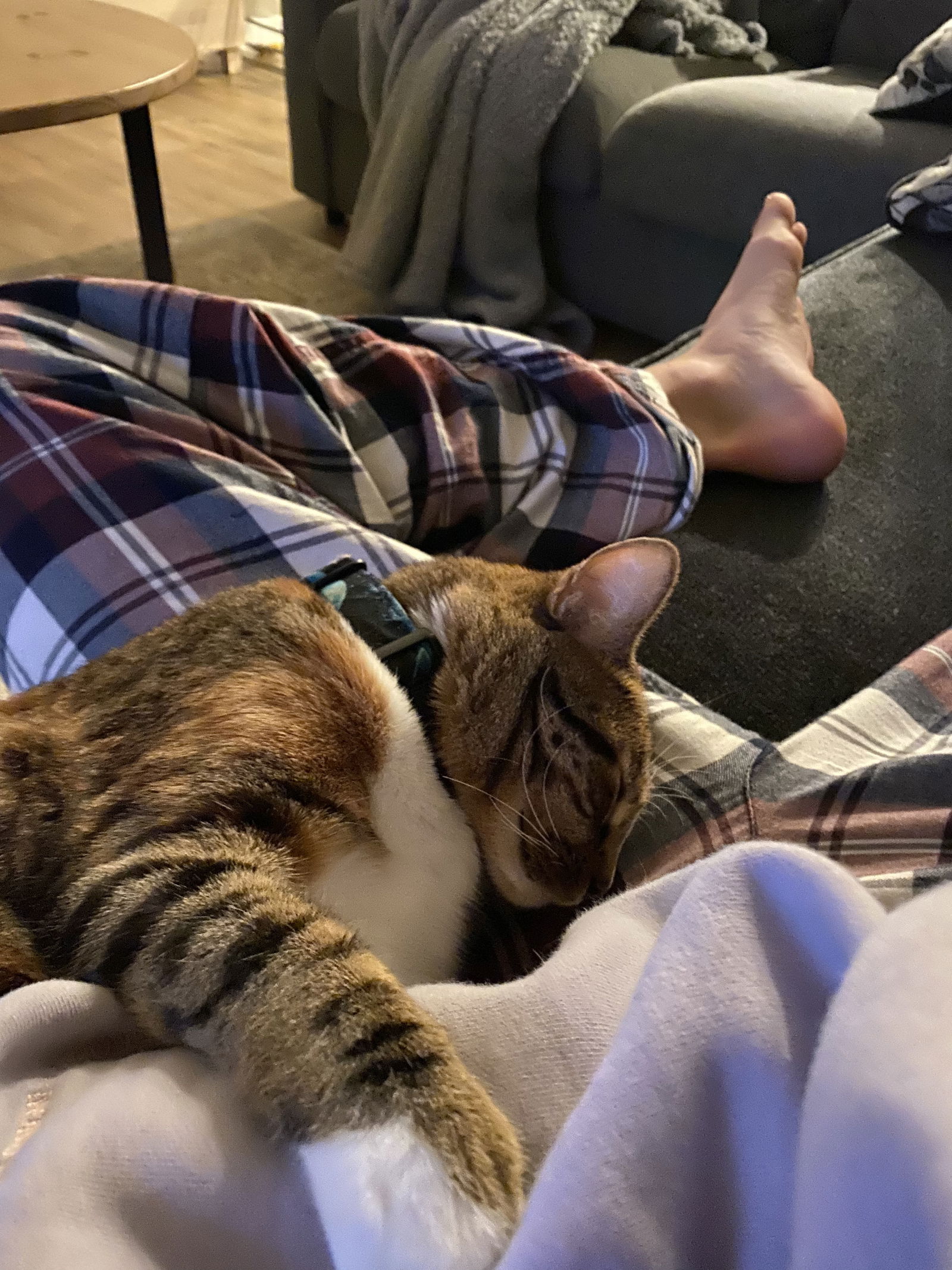 Feets R Us's avatar