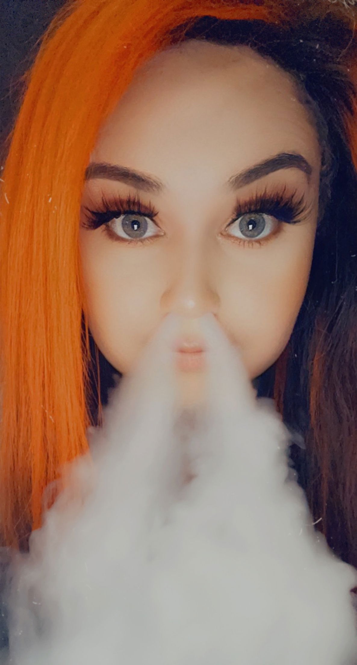 ShelbyD creator profile