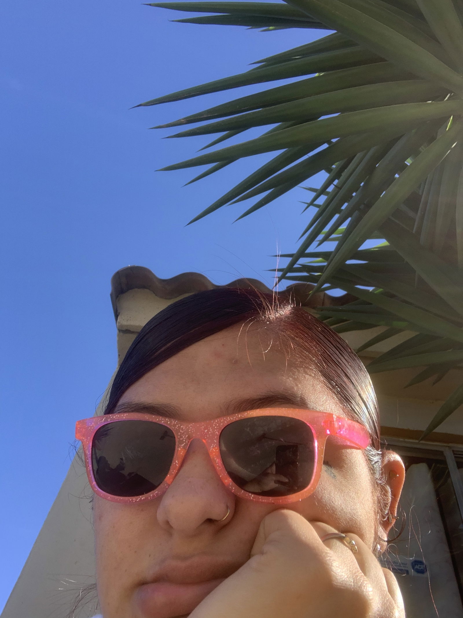 Kiss my ass's avatar