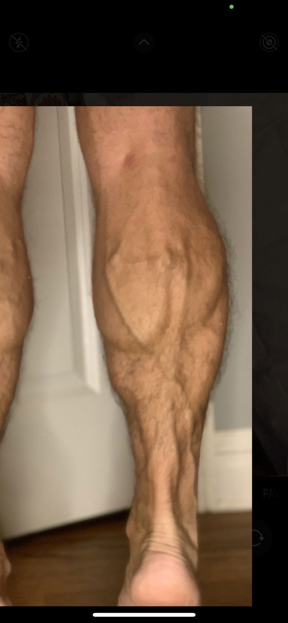 Mr. Calves's avatar